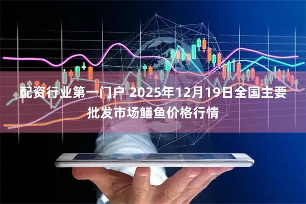 配资行业第一门户 2025年12月19日全国主要批发市场鳝鱼价格行情