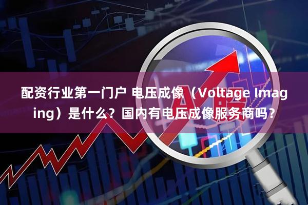 配资行业第一门户 电压成像（Voltage Imaging）是什么？国内有电压成像服务商吗？