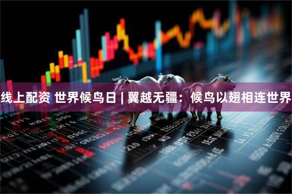 线上配资 世界候鸟日 | 翼越无疆：候鸟以翅相连世界
