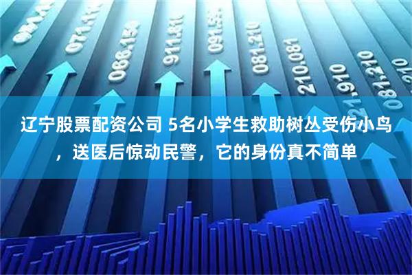 辽宁股票配资公司 5名小学生救助树丛受伤小鸟,送医后惊动民警,它的身份真不简单
