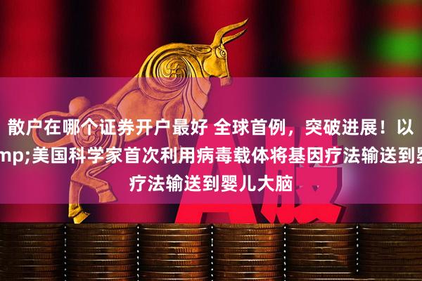 散户在哪个证券开户最好 全球首例，突破进展！以色列&美国科学家首次利用病毒载体将基因疗法输送到婴儿大脑